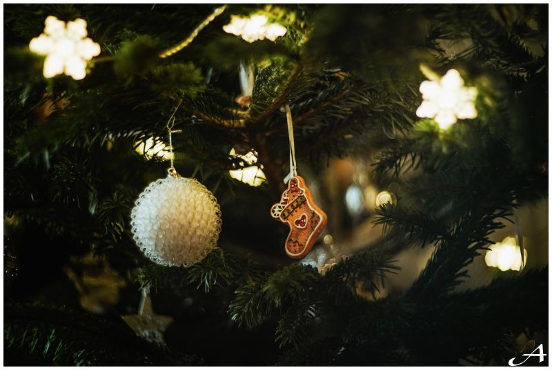 Kotor Nova godina 2026 - Parni Valjak i Marija Šerifović predvode spektakl na Winter Festu