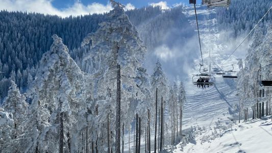 Zlatibor Nova godina 2026